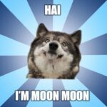 Moon Moon Meme Coin