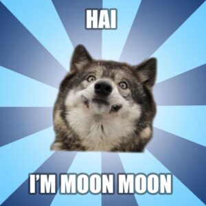 Moon Moon Meme Coin